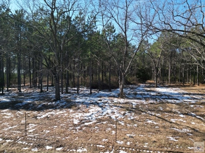47+ Acres in Hughes Springs TX | Utilities & FM 250 Access - image 15