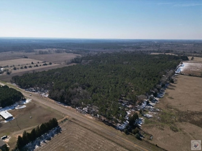 47+ Acres in Hughes Springs TX | Utilities & FM 250 Access - image 2