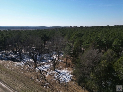 47+ Acres in Hughes Springs TX | Utilities & FM 250 Access - image 5
