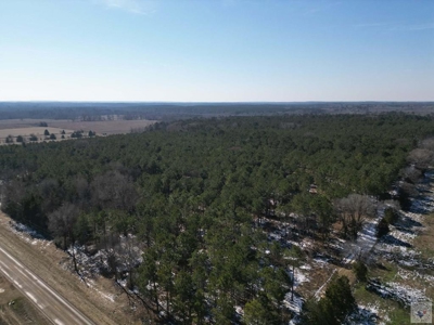 47+ Acres in Hughes Springs TX | Utilities & FM 250 Access - image 3