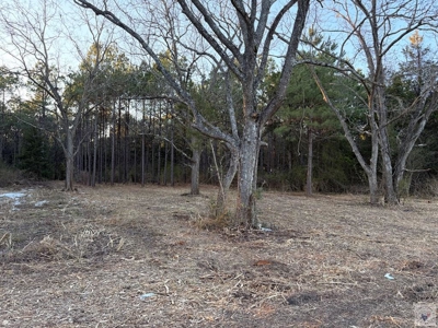 47+ Acres in Hughes Springs TX | Utilities & FM 250 Access - image 13
