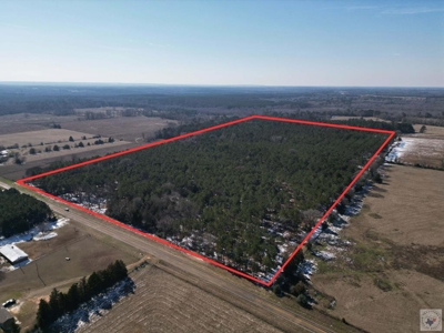 47+ Acres in Hughes Springs TX | Utilities & FM 250 Access - image 1