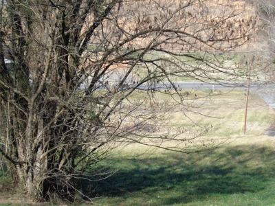 1.6 Acre Commercial Lot in Rogersville, Tennessee - image 15