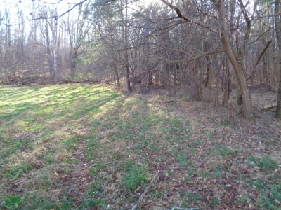 1.6 Acre Commercial Lot in Rogersville, Tennessee - image 2