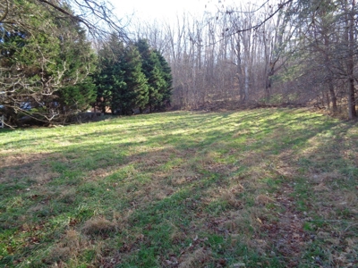 1.6 Acre Commercial Lot in Rogersville, Tennessee - image 19