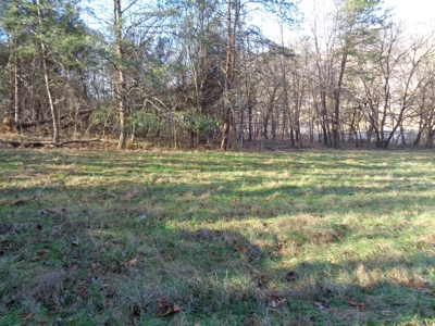 1.6 Acre Commercial Lot in Rogersville, Tennessee - image 17