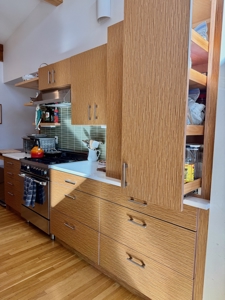 Modern Home for Sale in Floyd VA - image 13