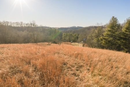 Modern Home for Sale in Floyd VA - image 48