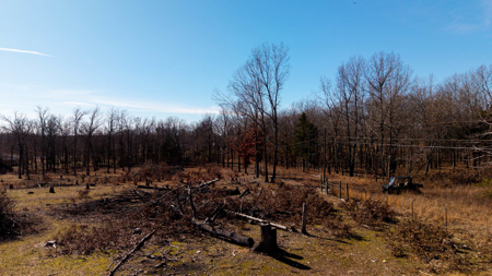 Hobby Farm in the Arkansas Ozarks | Ash Flat - image 49