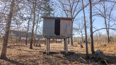 Hobby Farm in the Arkansas Ozarks | Ash Flat - image 40