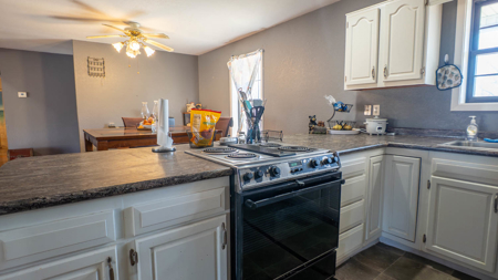 Hobby Farm in the Arkansas Ozarks | Ash Flat - image 16