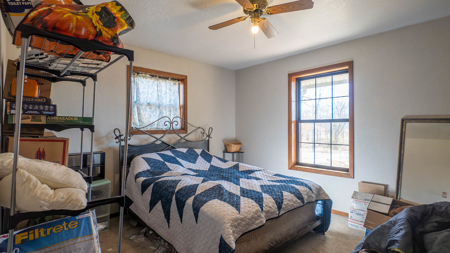 Hobby Farm in the Arkansas Ozarks | Ash Flat - image 14