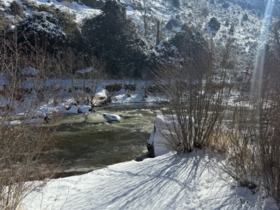 Rare Riverfront Property on the Los Pinos with Custom Home - image 38