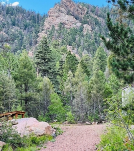 Spectacular Mountain Home for Sale Near Westcliffe, CO - image 27