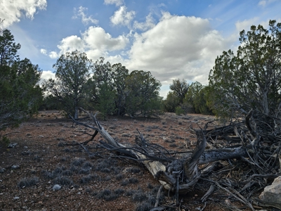 Own a piece of Bridge Canyon Country Estates - image 3