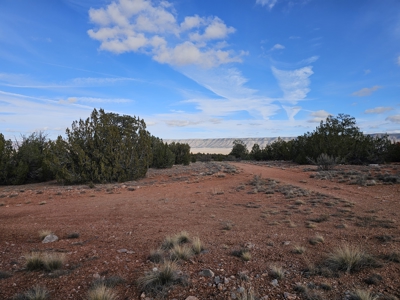 Own a piece of Bridge Canyon Country Estates - image 2