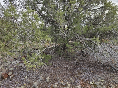 Own a piece of Bridge Canyon Country Estates - image 10