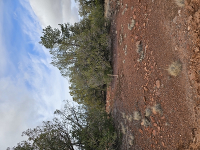 Own a piece of Bridge Canyon Country Estates - image 2