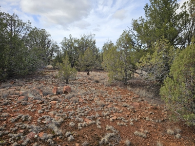 Own a piece of Bridge Canyon Country Estates - image 5