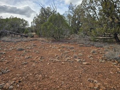 Own a piece of Bridge Canyon Country Estates - image 3