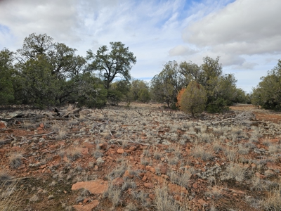 Own a piece of Bridge Canyon Country Estates - image 1