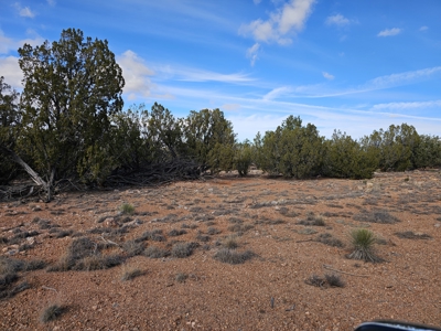 Electric near corner of lot Bridge Canyon Country Estates - image 13