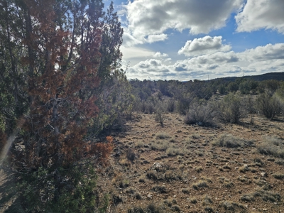 Electric near corner of lot Bridge Canyon Country Estates - image 2