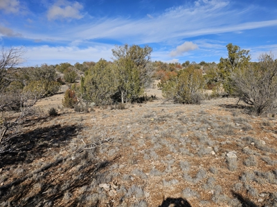 Electric near corner of lot Bridge Canyon Country Estates - image 5