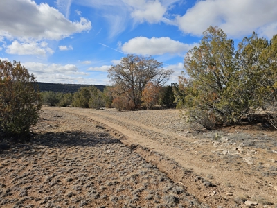 Electric near corner of lot Bridge Canyon Country Estates - image 9
