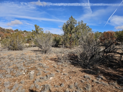 Electric near corner of lot Bridge Canyon Country Estates - image 6
