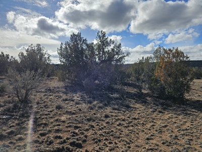 Electric near corner of lot Bridge Canyon Country Estates - image 8
