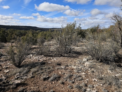 Electric near corner of lot Bridge Canyon Country Estates - image 7