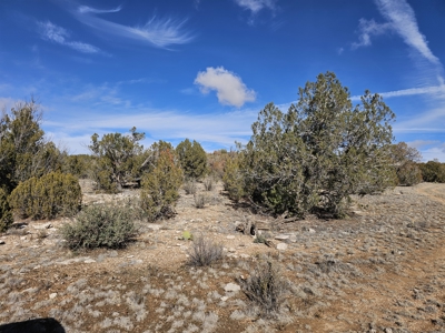 Electric near corner of lot Bridge Canyon Country Estates - image 10
