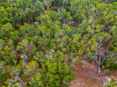Looking for country life? Look no further! 2 acres in O'Brien Fl! - image 10