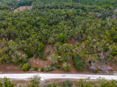 Looking for country life? Look no further! 2 acres in O'Brien Fl! - image 3