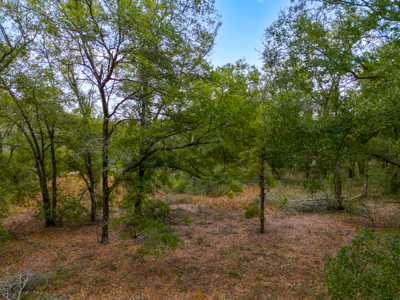 Looking for country life? Look no further! 2 acres in O'Brien Fl! - image 9