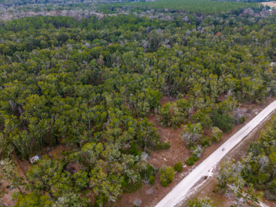 Looking for country life? Look no further! 2 acres in O'Brien Fl! - image 4