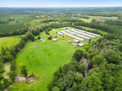Chicken Farm 66.35 Acres 4 House fARM - image 5