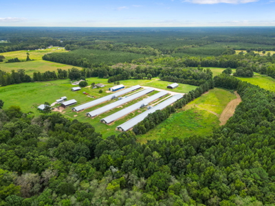 Chicken Farm 66.35 Acres 4 House fARM - image 3