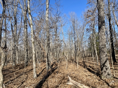 Creekfront Land for Sale in Highland, AR - image 9