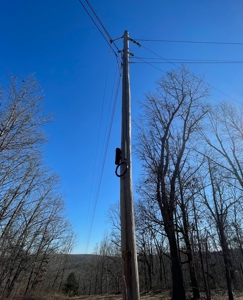 Creekfront Land for Sale in Highland, AR - image 2