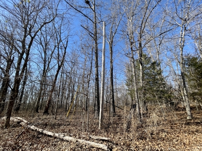 Creekfront Land for Sale in Highland, AR - image 10