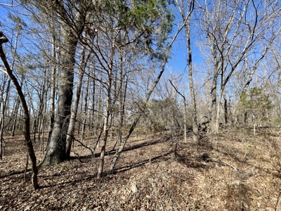 Creekfront Land for Sale in Highland, AR - image 16