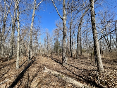 Creekfront Land for Sale in Highland, AR - image 6