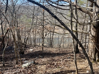 Creekfront Land for Sale in Highland, AR - image 13