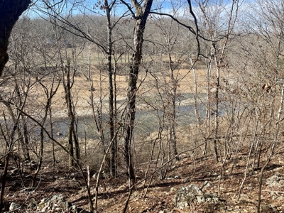 Creekfront Land for Sale in Highland, AR - image 14