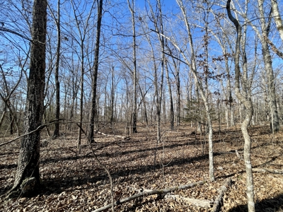 Creekfront Land for Sale in Highland, AR - image 8