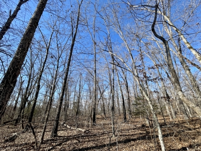 Creekfront Land for Sale in Highland, AR - image 7