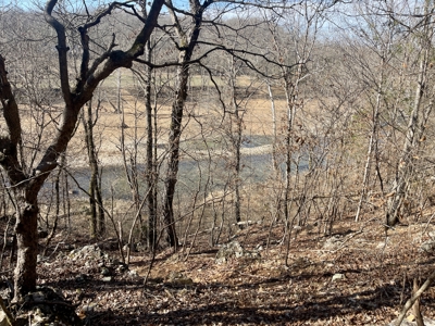 Creekfront Land for Sale in Highland, AR - image 15