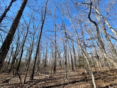 Creekfront Land for Sale in Highland, AR - image 4